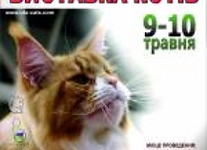 Міжнародна виставка котів